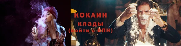 тгк Бронницы