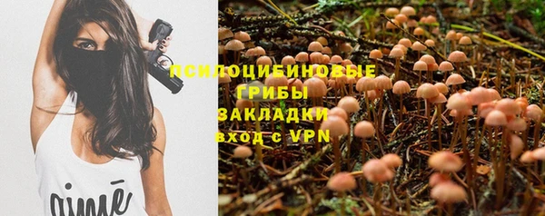 тгк Бронницы