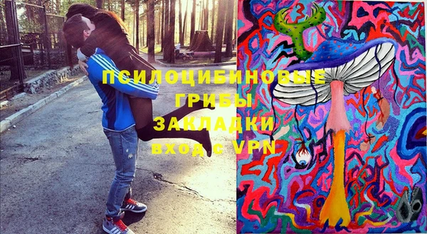 тгк Бронницы