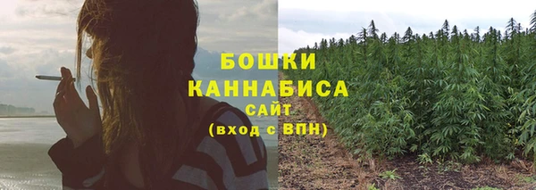 тгк Бронницы