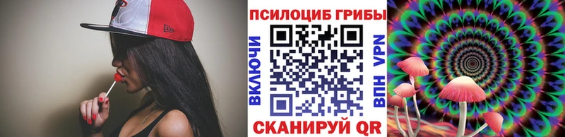 Псилоцибиновые грибы MAGIC MUSHROOMS  Купить закладки  Судогда 